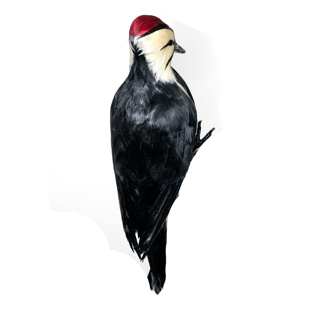 18" Woodpecker Decoy Effigy - Life-Like Woodpecker Deterrent & Decoration