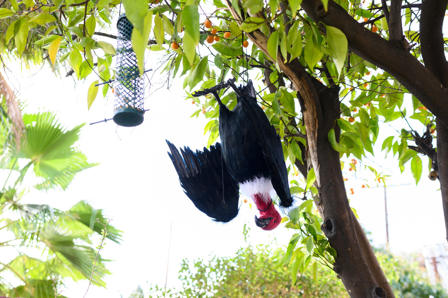 Dead Vulture Effigy 18 inch Tall, Deters Turkey & Black Vultures / Buzzards from Roofs, Trees and Cell Towers