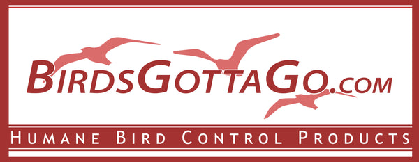 BirdsGottaGo.net