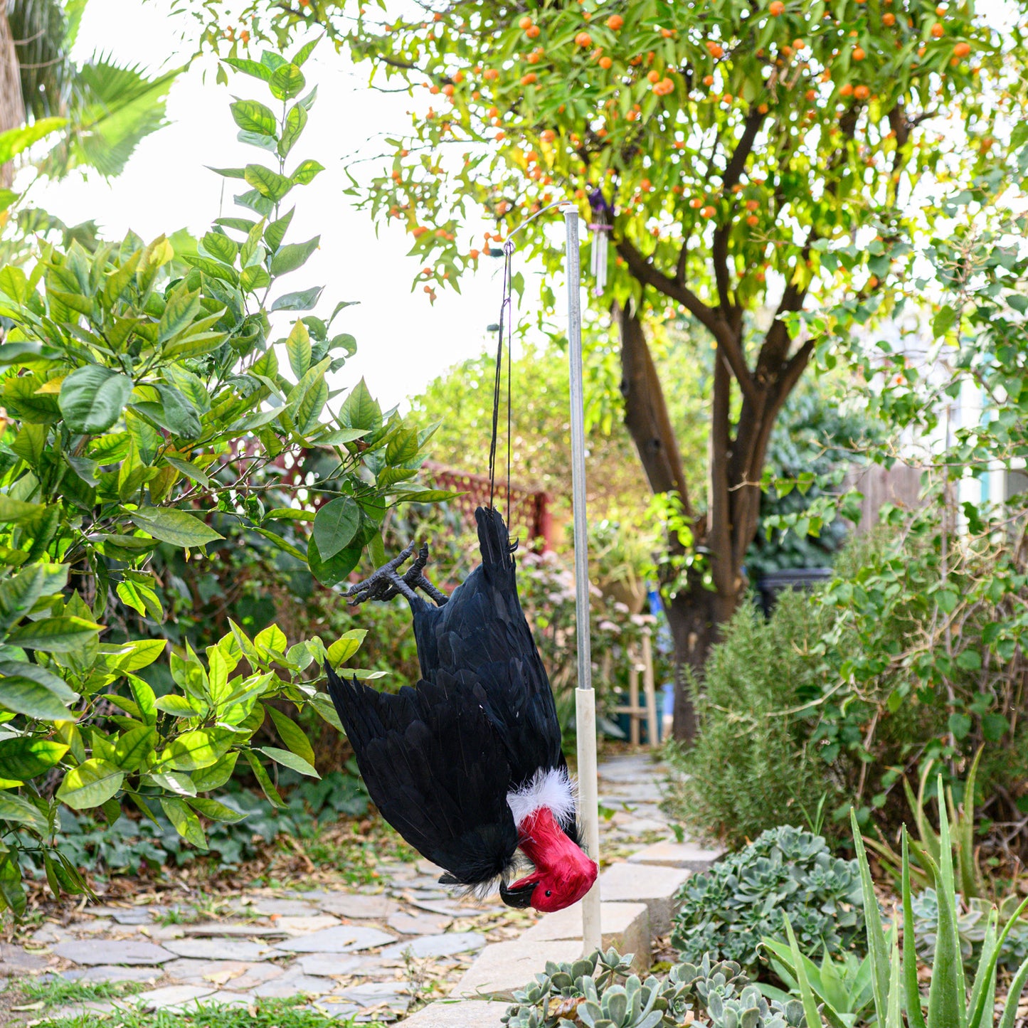 Dead Vulture Effigy 18 inch Tall, Deters Turkey & Black Vultures / Buzzards from Roofs, Trees and Cell Towers