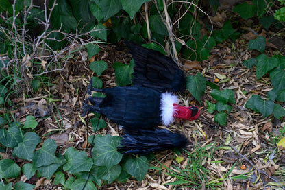Dead Vulture Effigy 18 inch Tall, Deters Turkey & Black Vultures / Buzzards from Roofs, Trees and Cell Towers