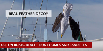 Dead Seagull Bird Deterrent Scares Away Gulls - Bird Decoy for Boats, Marinas & Docks