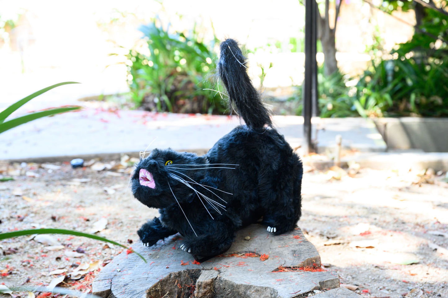 Gull-Cat Bird Deterrent Cat Decoy Devices Black - Keep Birds Away from Boats & Patio