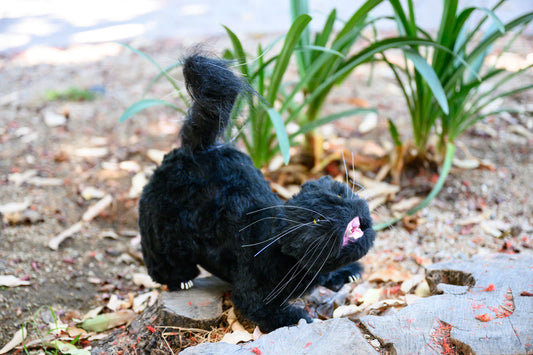 Gull-Cat Bird Deterrent Cat Decoy Devices Black - Keep Birds Away from Boats & Patio