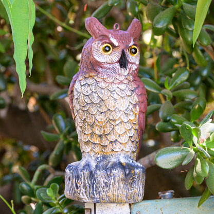 Plastic Fake Owl 11 Inch Decorative Owl Bird Scarecrow, Plastic Owls are Natures Enemy pest Repellent for Outdoor Gardens,Homes& Halloween