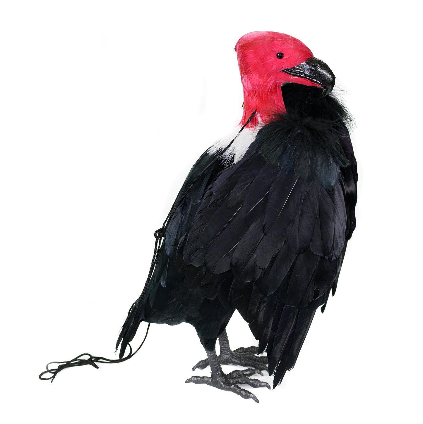 Dead Vulture Effigy 18 inch Tall, Deters Turkey & Black Vultures / Buzzards from Roofs, Trees and Cell Towers