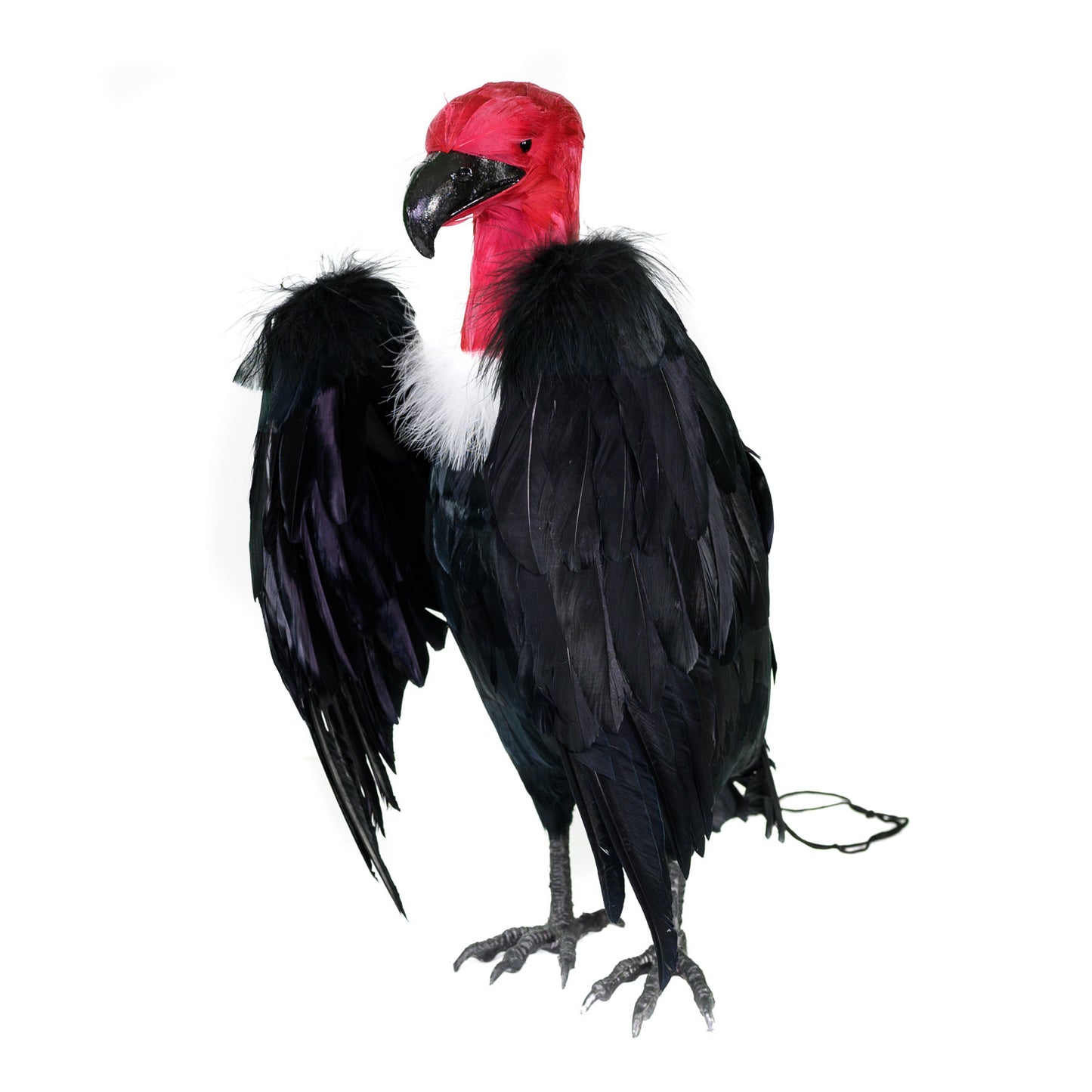 Dead Vulture Effigy 18 inch Tall, Deters Turkey & Black Vultures / Buzzards from Roofs, Trees and Cell Towers