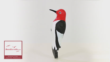 Woodpecker Tree Ornament Decoy Plastic & Metal Decorative Deterrent & Repeller- Easy to Mount-House, Tree or Gift 9" Tall
