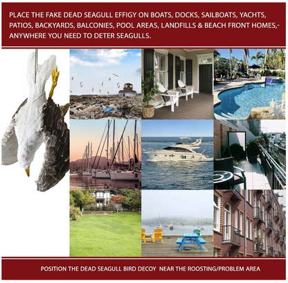 Dead Seagull Bird Deterrent Scares Away Gulls - Bird Decoy for Boats, Marinas & Docks