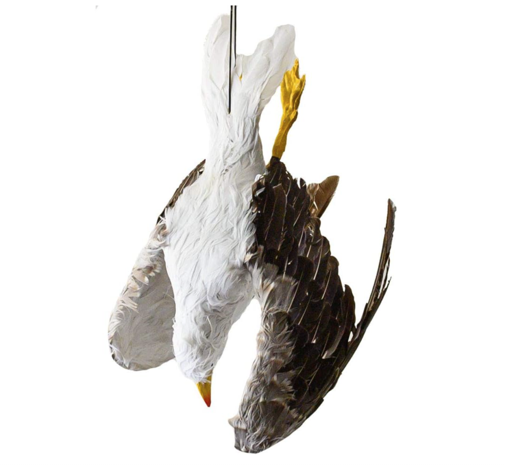 Dead Seagull Bird Deterrent Scares Away Gulls - Bird Decoy for Boats, Marinas & Docks