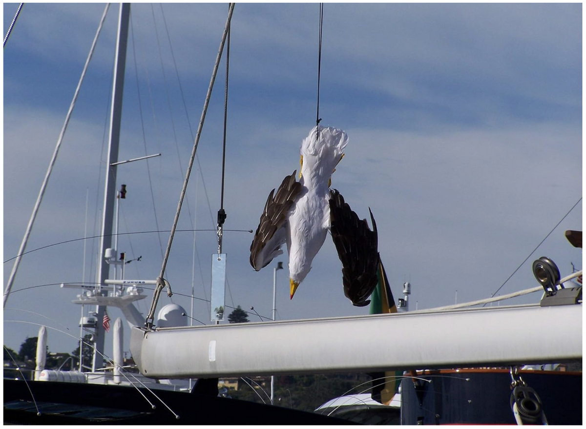 Dead Seagull Bird Deterrent Scares Away Gulls - Bird Decoy for Boats, Marinas & Docks