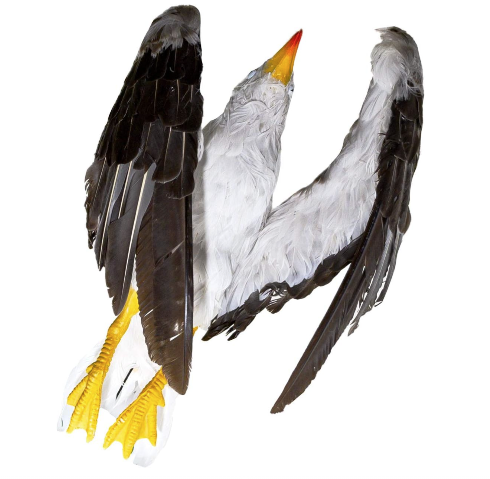 Dead Seagull Bird Deterrent Scares Away Gulls - Bird Decoy for Boats, Marinas & Docks