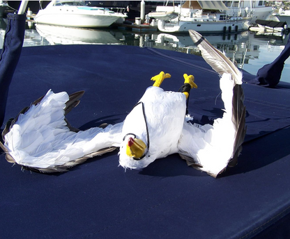 Dead Seagull Bird Deterrent Scares Away Gulls - Bird Decoy for Boats, Marinas & Docks