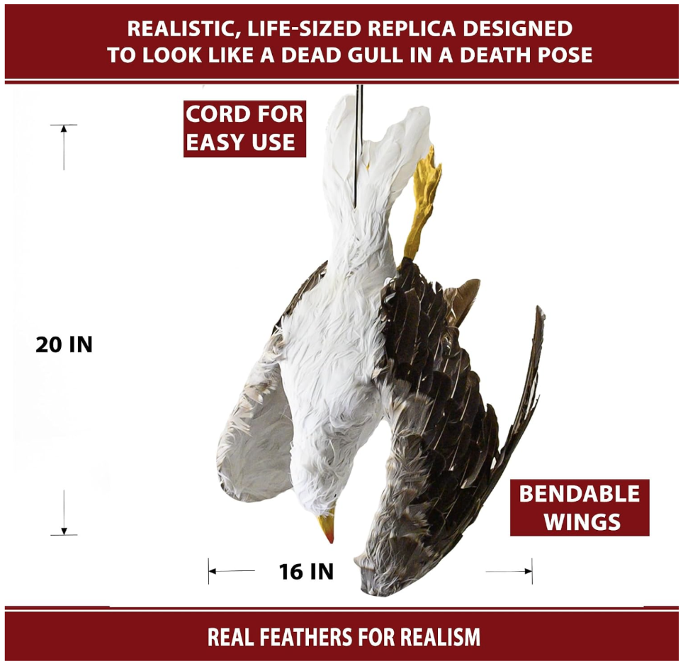 Dead Seagull Bird Deterrent Scares Away Gulls - Bird Decoy for Boats, Marinas & Docks
